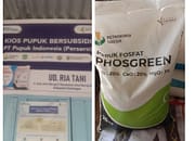 Kios Pupuk UD Ria Tani “Paksakan” Petani Beli Phosgreen Saat Penebusan Pupuk Bersubsidi