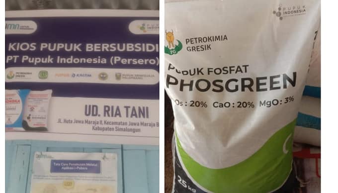 Kios Pupuk UD Ria Tani “Paksakan” Petani Beli Phosgreen Saat Penebusan Pupuk Bersubsidi