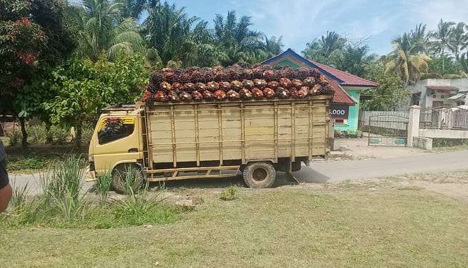 Jalan Rusak, Warga Tangga Batu Hentikan Truck Buah Sawit Milik PTPN Lewat Tonase